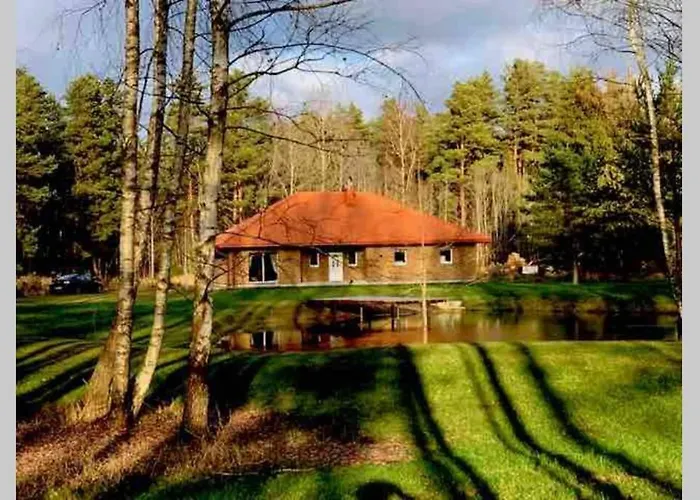 Forest House For Family
