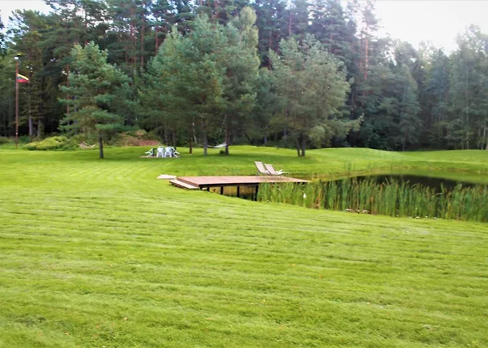 Forest House For Family