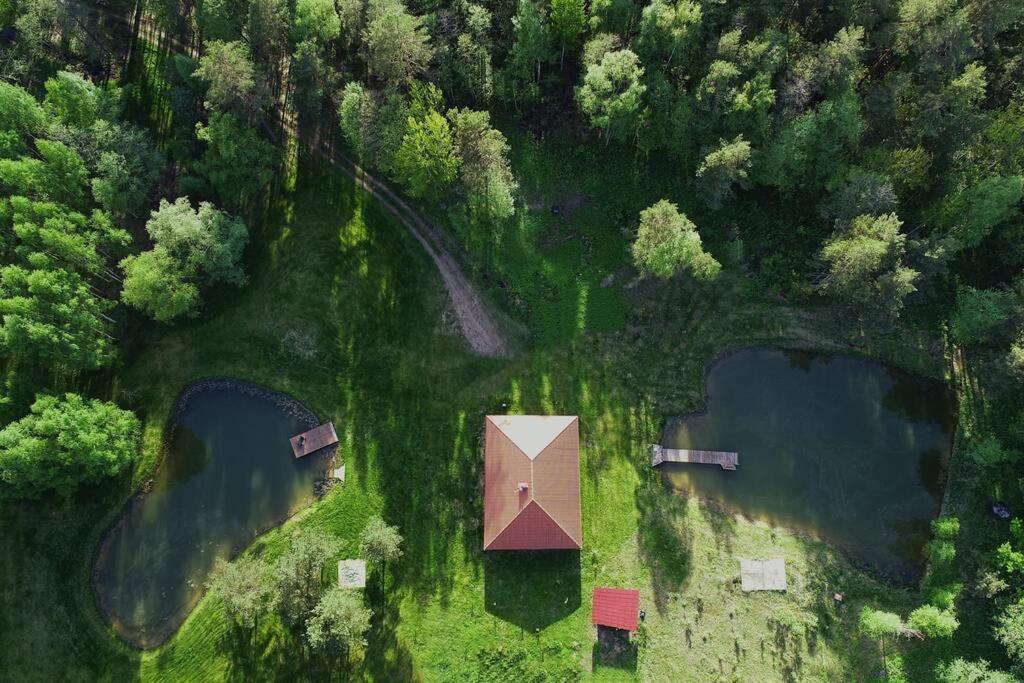 Forest House For Family *